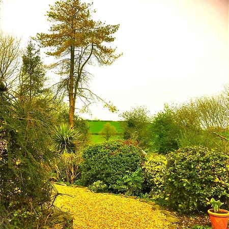 Heddfan Bed & Breakfast Llanboidy Eksteriør bilde