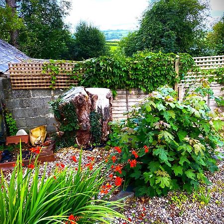 Heddfan Bed & Breakfast Llanboidy Eksteriør bilde