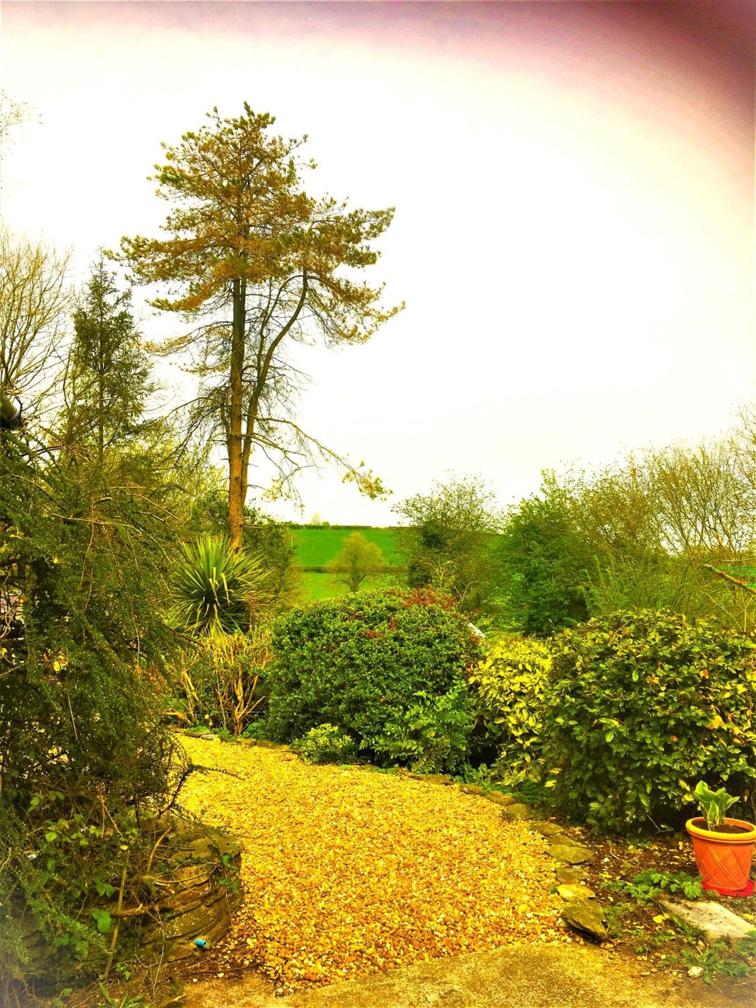 Heddfan Bed & Breakfast Llanboidy Eksteriør bilde