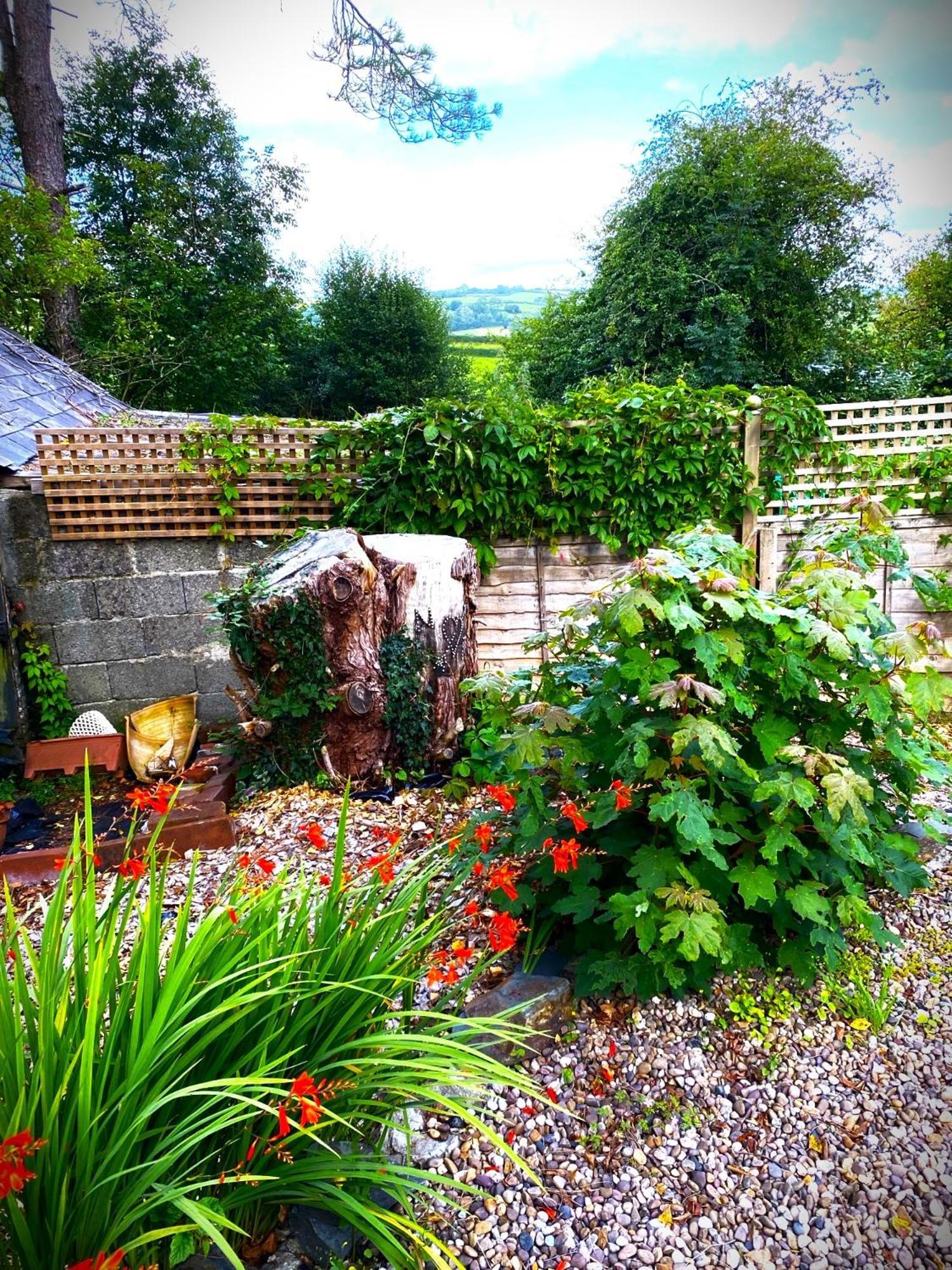 Heddfan Bed & Breakfast Llanboidy Eksteriør bilde